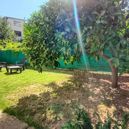 Tatil Evi Triscele *