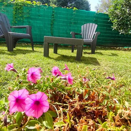 Triscele Tatil Evi Partinico