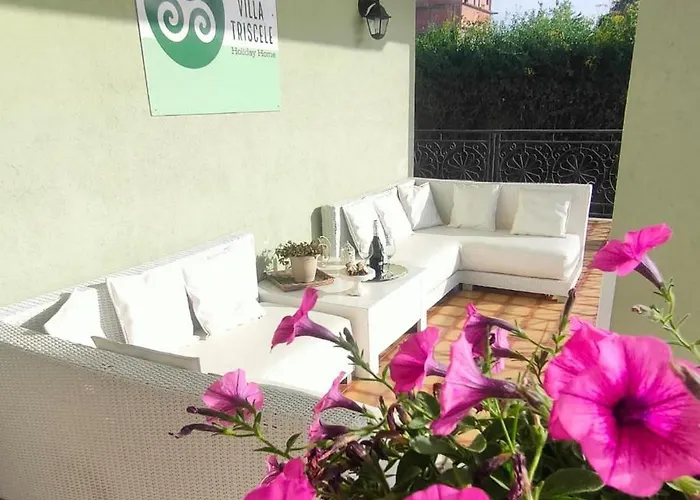 Triscele * Partinico